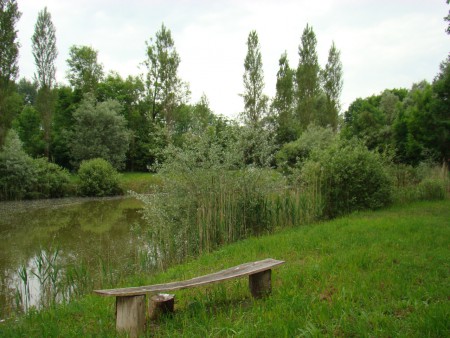 Nature morte ?, non juste les bancs