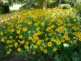/album/fleurs/dsc02957-jpg/